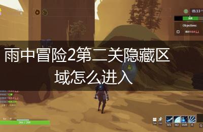雨中冒险2第二关隐藏区域怎么进入