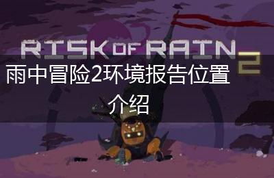 雨中冒险2环境报告位置介绍