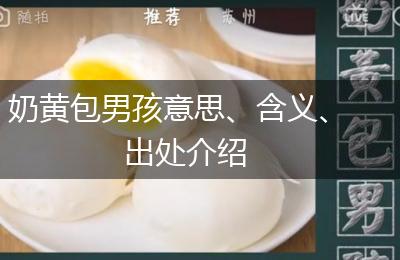 奶黄包男孩意思、含义、出处介绍