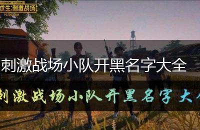 刺激战场小队开黑名字大全
