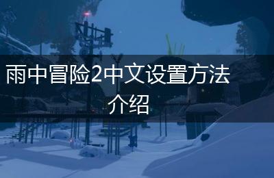 雨中冒险2中文设置方法介绍
