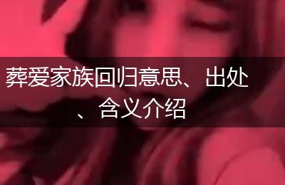葬爱家族回归意思、出处、含义介绍