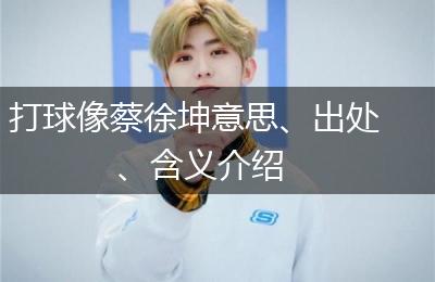 打球像蔡徐坤意思、出处、含义介绍