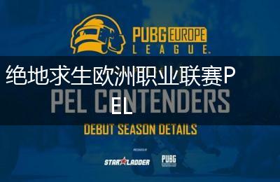 绝地求生欧洲职业联赛PEL