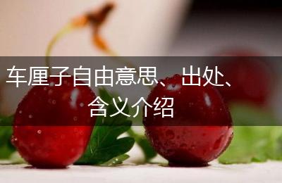 车厘子自由意思、出处、含义介绍