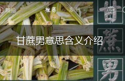 甘蔗男意思含义介绍