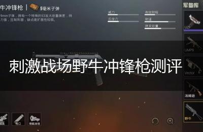 刺激战场野牛冲锋枪测评