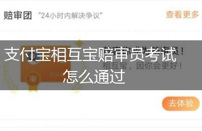 支付宝相互宝赔审员考试怎么通过