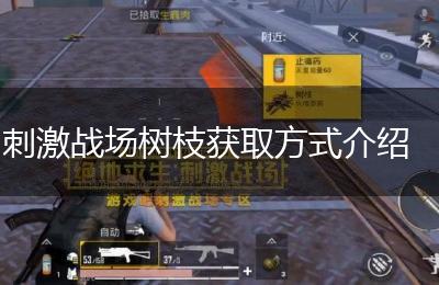 刺激战场树枝获取方式介绍