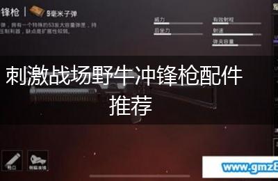 刺激战场野牛冲锋枪配件推荐