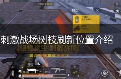 刺激战场树枝刷新位置介绍