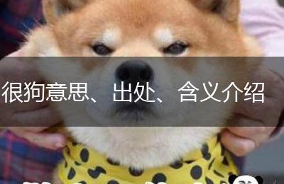 很狗意思、出处、含义介绍