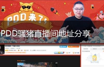 PDD骚猪直播间地址分享