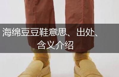 海绵豆豆鞋意思、出处、含义介绍