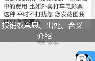 报销奴意思、出处、含义介绍