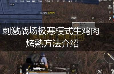 刺激战场极寒模式生鸡肉烤熟方法介绍