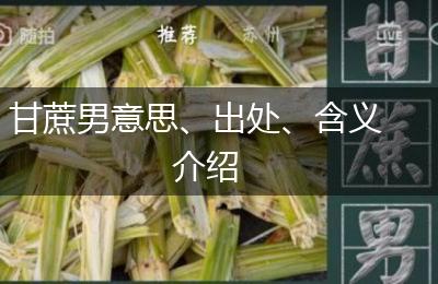 甘蔗男意思、出处、含义介绍