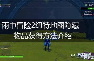 雨中冒险2纽特地图隐藏物品获得方法介绍