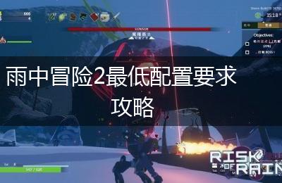 雨中冒险2最低配置要求攻略