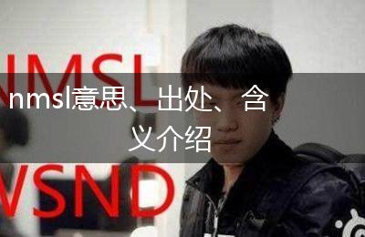 nmsl意思、出处、含义介绍