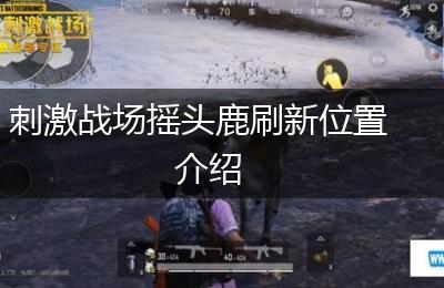 刺激战场摇头鹿刷新位置介绍
