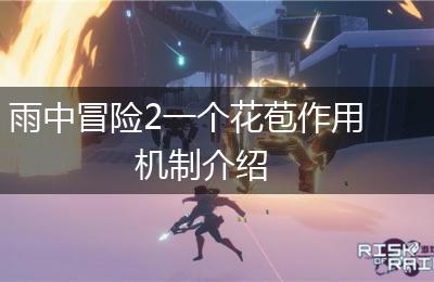 雨中冒险2一个花苞作用机制介绍