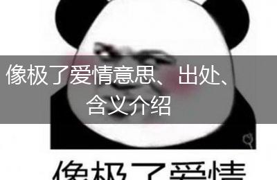 像极了爱情意思、出处、含义介绍