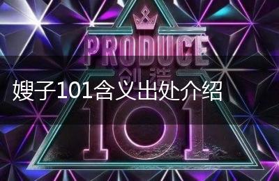 嫂子101含义出处介绍