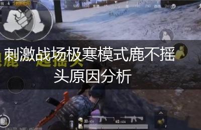 刺激战场极寒模式鹿不摇头原因分析