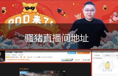 骚猪直播间地址