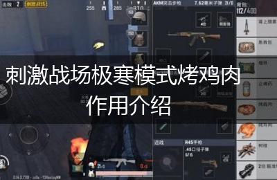 刺激战场极寒模式烤鸡肉作用介绍