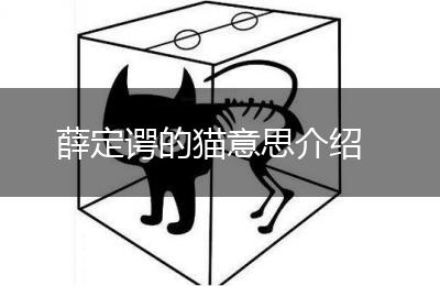 薛定谔的猫意思介绍