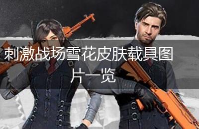 刺激战场雪花皮肤载具图片一览