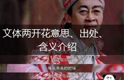 文体两开花意思、出处、含义介绍