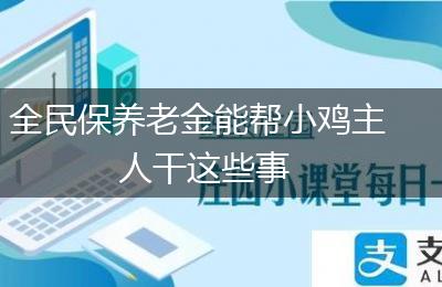 全民保养老金能帮小鸡主人干这些事