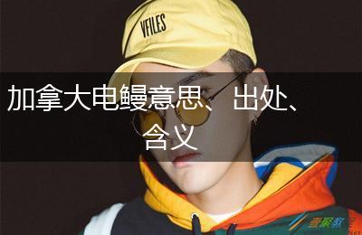 加拿大电鳗意思、出处、含义