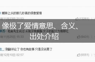 像极了爱情意思、含义、出处介绍