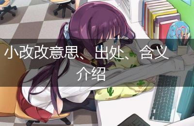 小改改意思、出处、含义介绍