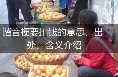 谐音梗要扣钱的意思、出处、含义介绍
