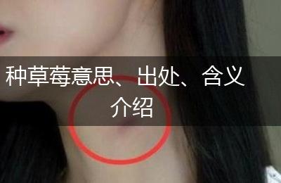 种草莓意思、出处、含义介绍