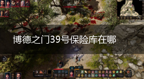 博德之门39号保险库在哪,第1张