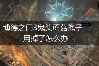 博德之门3鬼头蘑菇孢子用掉了怎么办,第1张