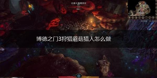 博德之门3狩猎蘑菇猎人怎么做,第1张