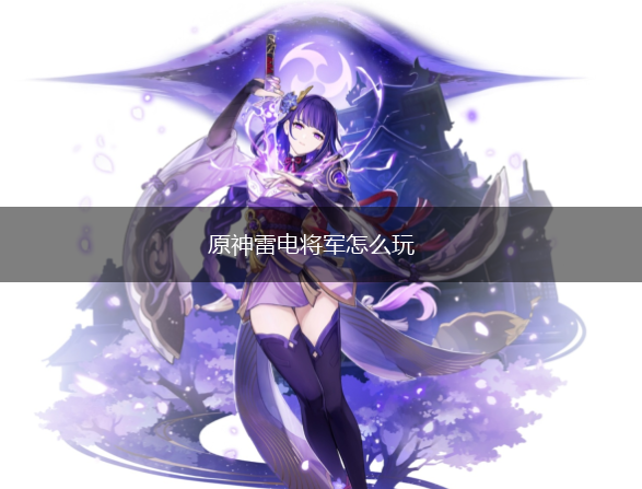 原神雷电将军怎么玩,第1张