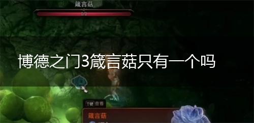 博德之门3箴言菇只有一个吗,第1张