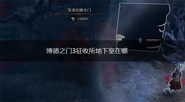 博德之门3征收所地下室在哪,第4张