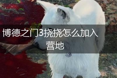 博德之门3挠挠怎么加入营地,第1张