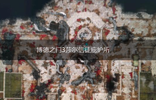 博德之门3莎尔信徒庇护所,第1张