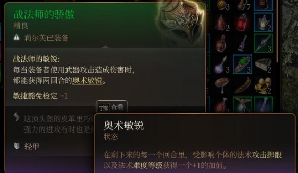 博德之门3剑舞诗人装备,第2张