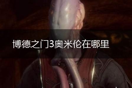 博德之门3奥米伦在哪里,第1张
